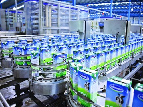 Yêu cầu đặc biệt của băng tải trong dây chuyền sản xuất sữa