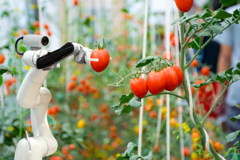 Robot và tự động hóa trong ngành công nghiệp thực phẩm