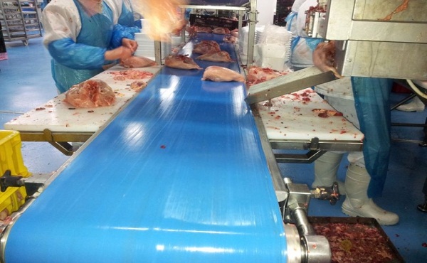 Băng tải chế biến thịt
