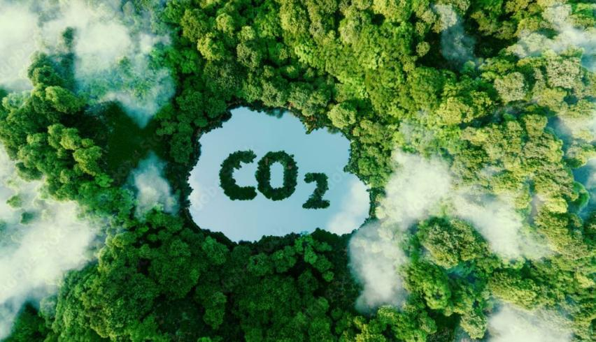 Giảm thải khí co2