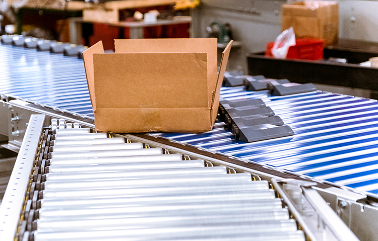 Băng tải phân loại Shoe Sorter