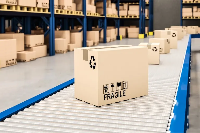 packaging conveyor systems