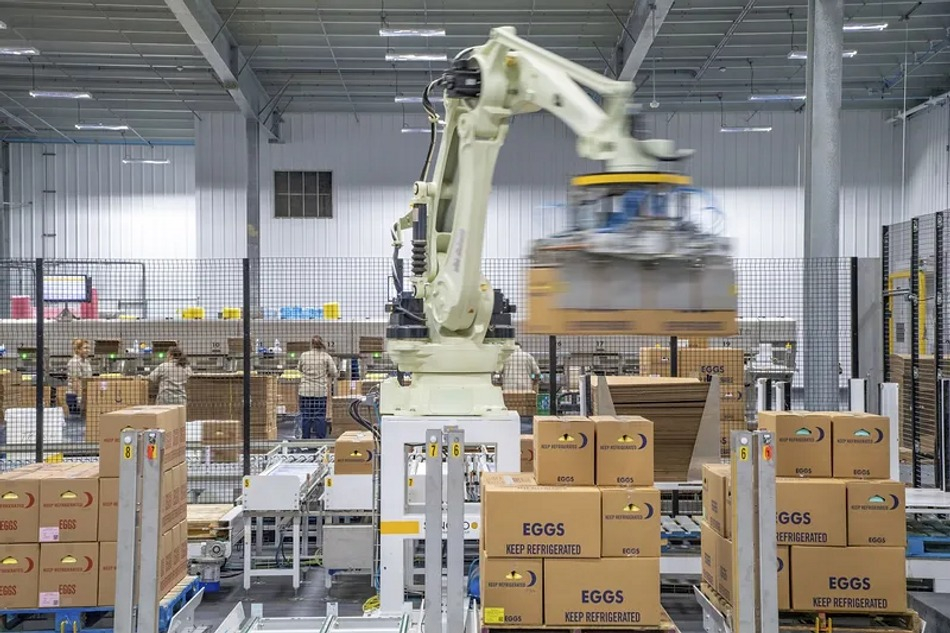 Robot khớp nối bốc xếp hàng hóa
