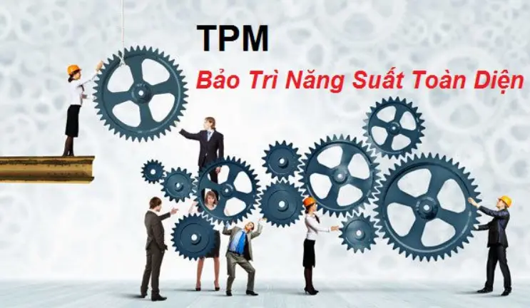 TMP là gì