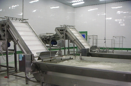Conveyor belt for seafood processing