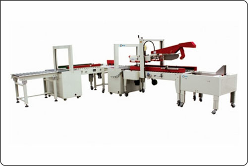 DC4 - Carton Packing Machine - Mikyo