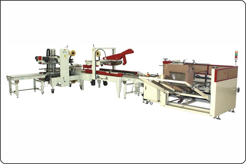 DC10 - Automatic Carton Packing Line - Mikyo